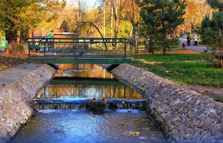 Ботанічний сад фото