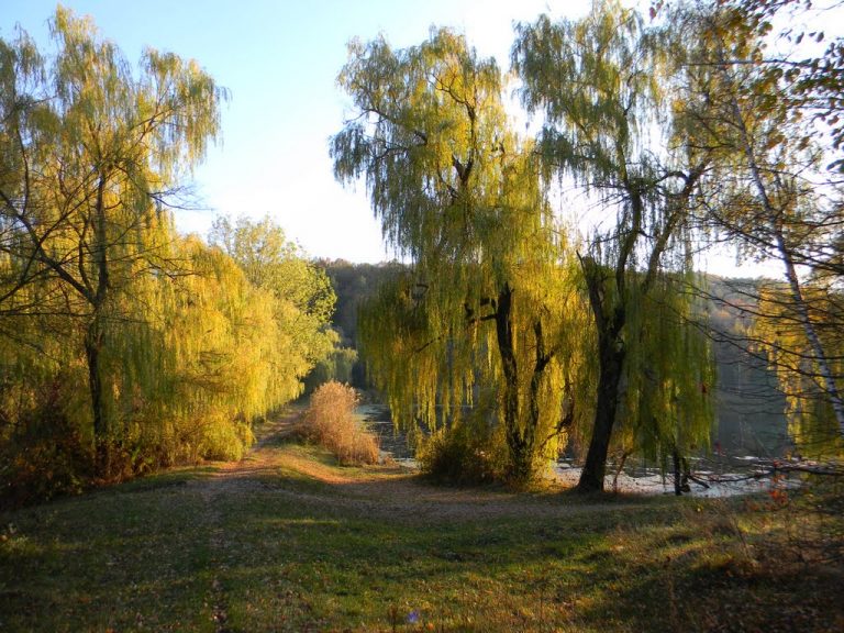 Ландшафтний парк Полтави